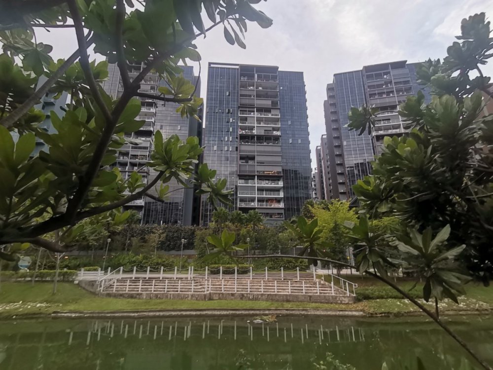 Singapore Property Piermont Grand EC